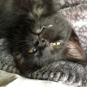 Meet your Posher, Karalyn